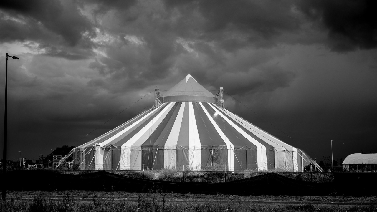 Fantasía bajo la carpa