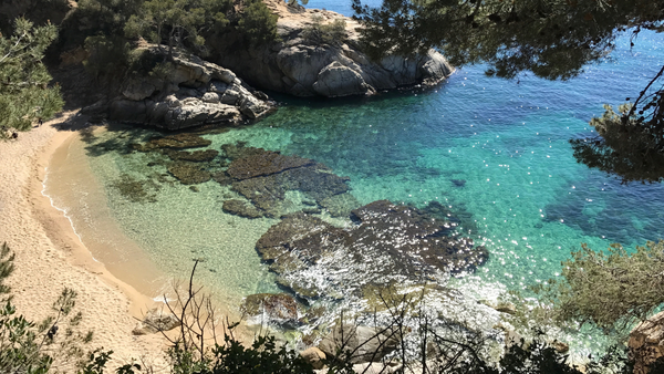 El caparazón